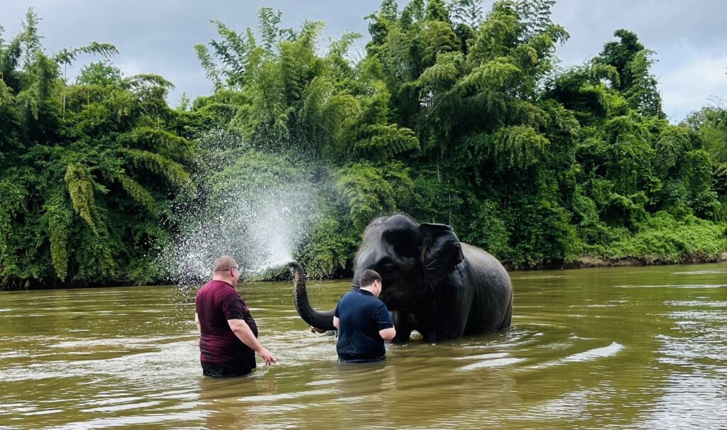 Elephant bathing in the river at Kanchanaburi.