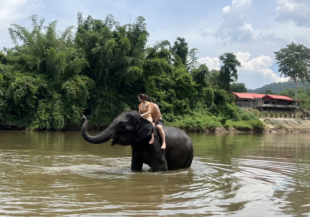 People bathing Elephant in the river near Kanchanaburi.