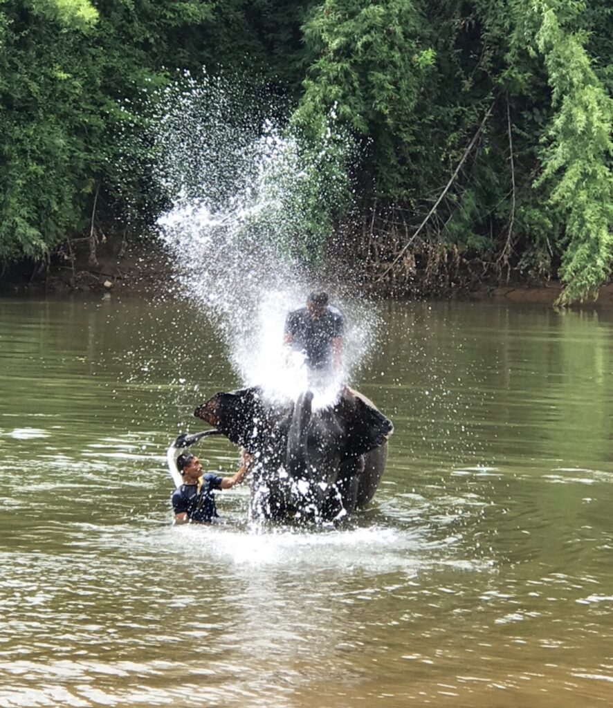 Elephant bathing in the river near Kanchanaburi.