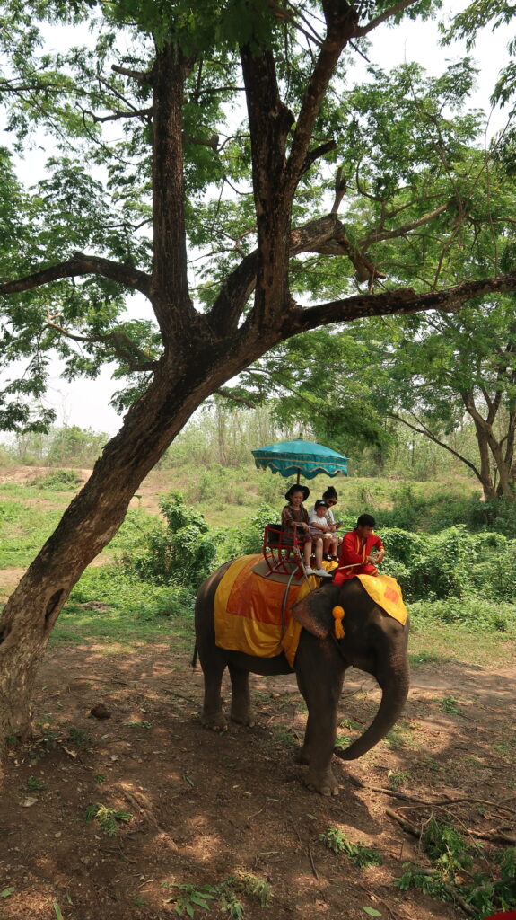 Elephant riding near Kanchanaburi.