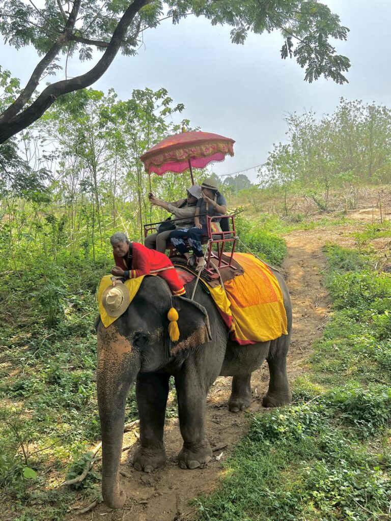 Elephant riding in jungle area near Kanchanaburi.