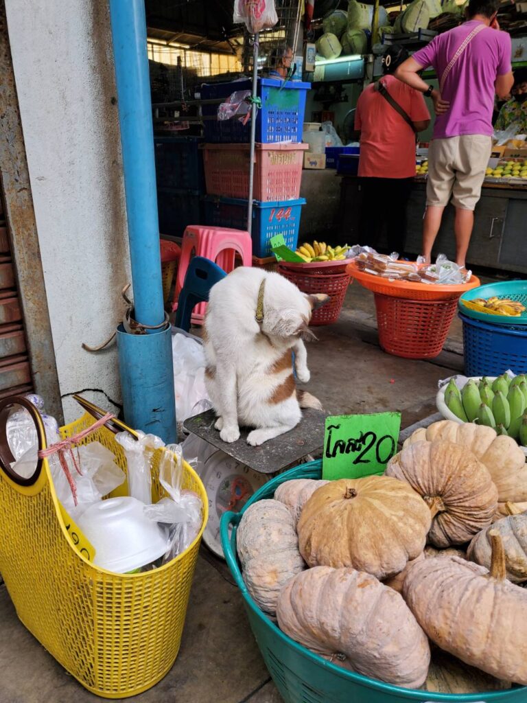 Busy market scenes at Mae Klong Railway Market.