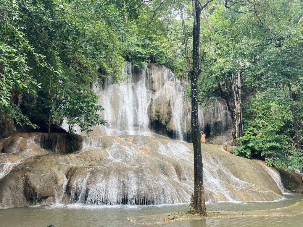 Tropical plants at Sai Yok Noi Waterfall near Kanchanaburi