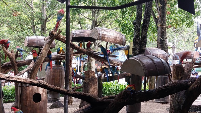 safari world bangkok