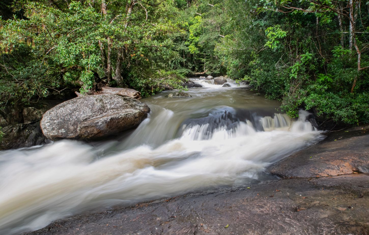 Khao Yai National Park Thailand