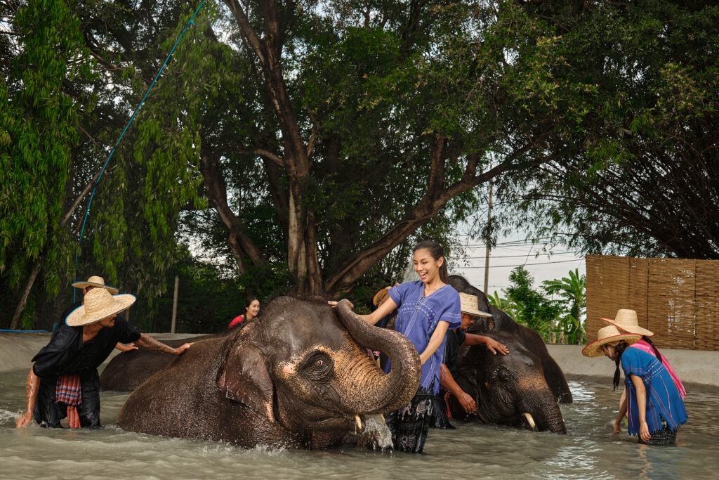 Bangkok elephant bathing