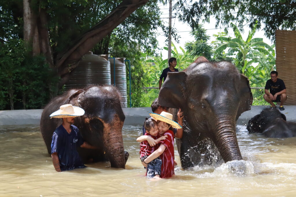 Elephant bathing